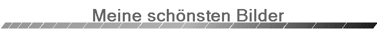 Meine sch�nsten Bilder