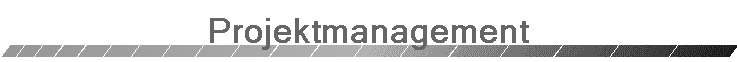 Projektmanagement